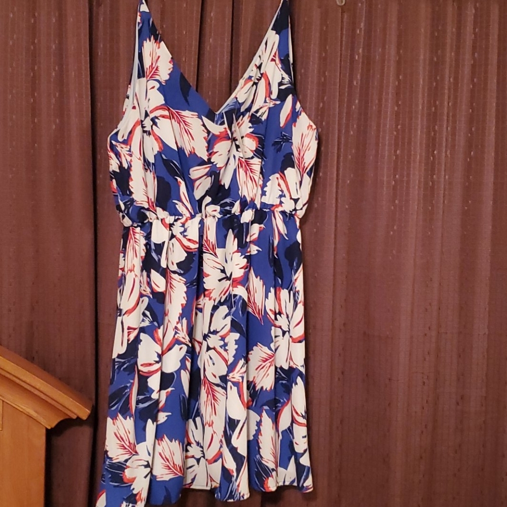 Knee Length Spaghetti Straped Dress